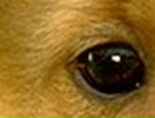 Аліна Третякович фотография #28 (источник - https://vk.com/id36342602)