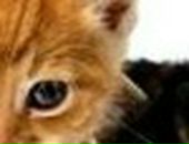 Аліна Третякович фотография #37 (источник - https://vk.com/id36342602)