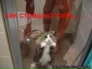 Фотография Касымбек Саны