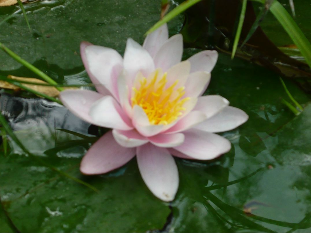 Олег Ткаченко фотография #6