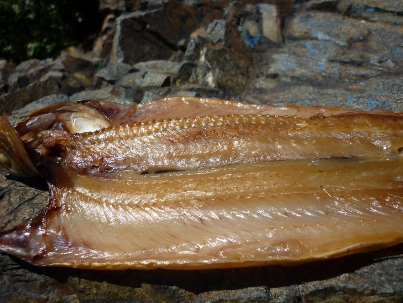 Дмитрий Семенченко фотография #49