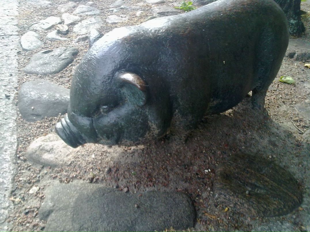 Сергей Сергеев фотография #38