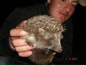 Фотография Мухлярица Сергея