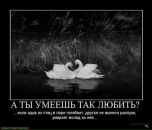 Ігор Кухтар фотография #11 (источник - https://vk.com/id116759556)