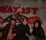 Katya Vi фотография #38 (источник - https://vk.com/id5806463)