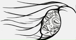 Whisky Yourself фотография #12 (источник - https://vk.com/id2127699)