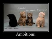 Фотография Путровой Вероники