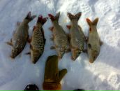 Артур Абросимов фотография #48 (источник - https://vk.com/id22478263)