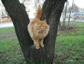 Фотография Густо Владимира