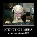 Фотография Ильина Андрюхи