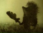 Фотография Дементьевой Людмилы