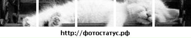 Лєра Щербина фотография #13 (источник - https://vk.com/id68521705)