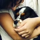 Hеравнодушный Kамень © фотография #28 (источник - https://vk.com/id89975711)