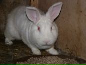 Фотография Загайнова Максима