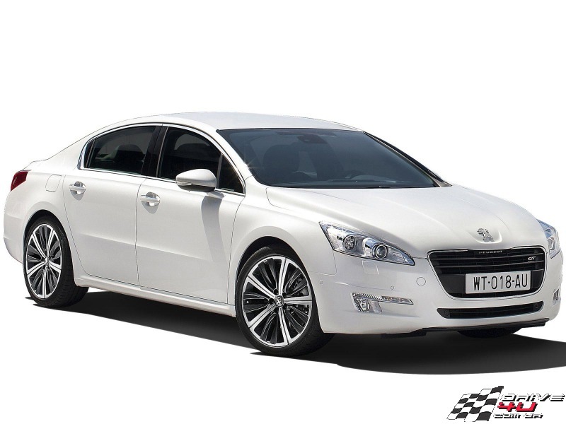 Vit Kot фотография #38