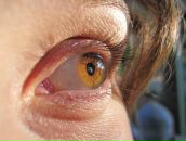 Фотография Веселовой Екатерины