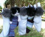 Андрій Кучма фотография #2 (источник - https://vk.com/id140054032)