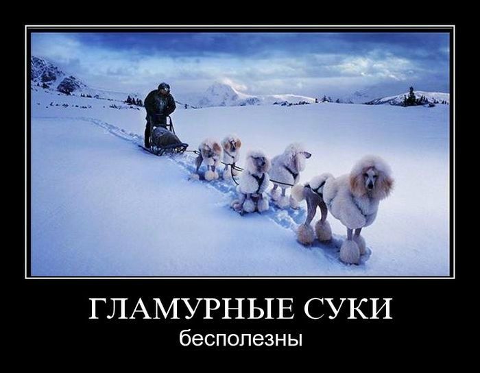 Ivan Королёв фото №5