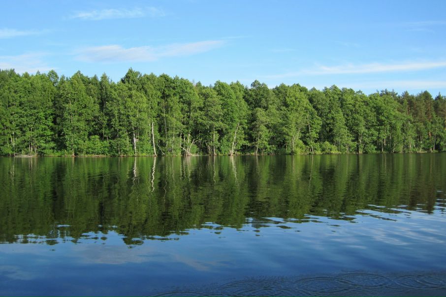 №3, Лада Степанова, Санкт-Петербург №3, Лада Степанова, Санкт-Петербург