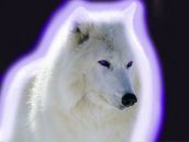 Фотография Лукашевич Марии