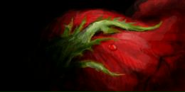 Фотография Борисовой Анны