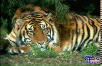 Фотография Миланевич Юлии