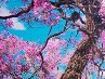 Олексій Гачевський фотография #7 (источник - https://vk.com/id163219555)