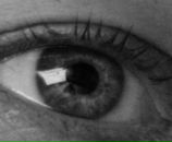 Фотография Судакова Алексея