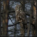 Андрій Дорошенко фотография #41 (источник - https://vk.com/id8194194)