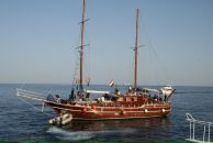 Алексей Малышкин фотография #41 (источник - https://vk.com/id2426457)