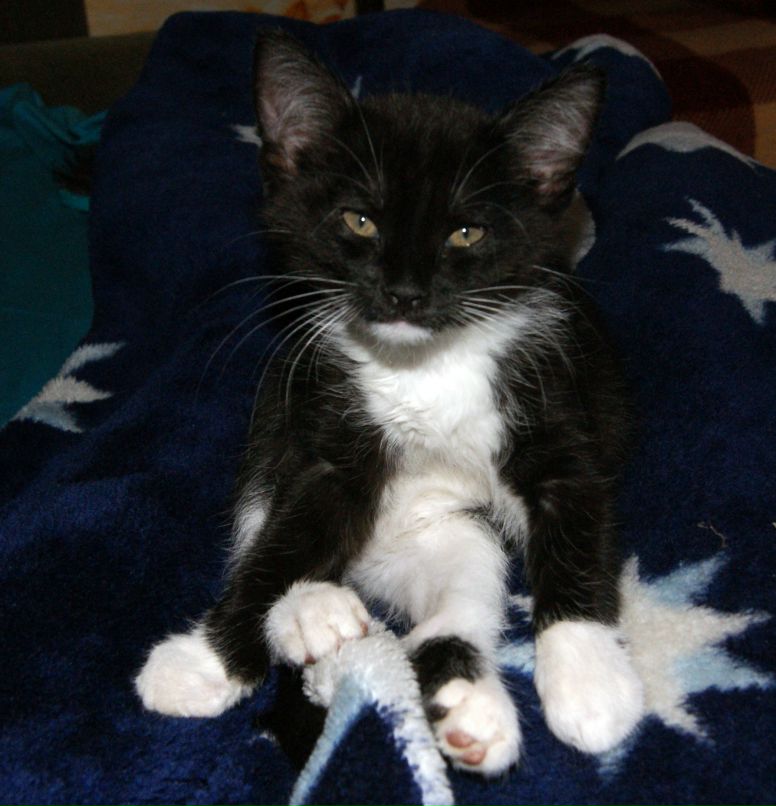 Антон Чучалин фотография #22