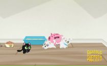 Альона Сіньковська фотография #11 (источник - https://vk.com/id84698413)