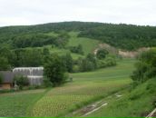 Руслан Батіг фотография #5 (источник - https://vk.com/id117262016)