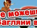 Родион Семионенко фотография #32 (источник - https://vk.com/id29742143)