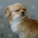 Фотография Крековой Анны