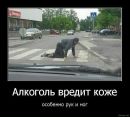 Роман Платко фотография #24 (источник - https://vk.com/id71472194)