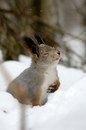 Фотография Татьяна Поллиева