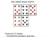 Денис Булкашвілі фотография #32 (источник - https://vk.com/id15949087)