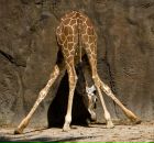 Фотография Ивановой Еленки