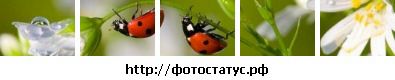 Іра Юськевич фотография #50 (источник - https://vk.com/id122114118)