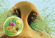 Фотография Ипатова Ильи