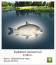 Сергій Бортнік фотография #8 (источник - https://vk.com/id160180359)