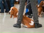 Фотография Томурова Евгения