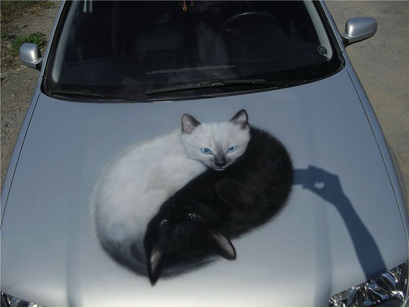 Виктор Шамаев фотография #17