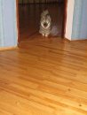 Вовчик Кузьміч фотография #12 (источник - https://vk.com/id64250712)