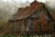 Фотография Трофимовой Анны