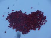 Фотография Дудиной Юлии