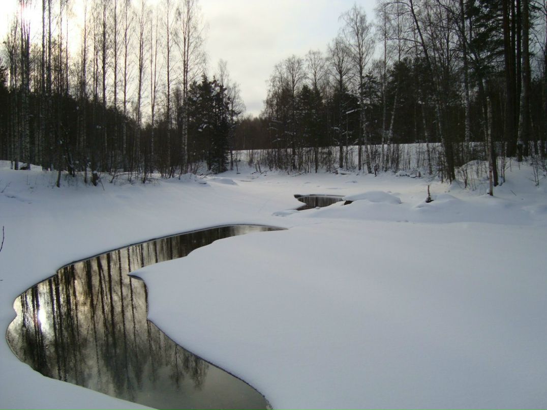 Антон Ковчик фотография #37