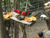 Клевый Парень фотография #35 (источник - https://vk.com/id391001)