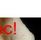 Соломія Лазоришин фотография #31 (источник - https://vk.com/id23350110)